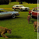Illustration for article titled How To Destroy A $200 Mercury Cougar, Part II